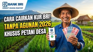 Cara Cairkan KUR BRI Tanpa Agunan 2026 untuk Petani Desa